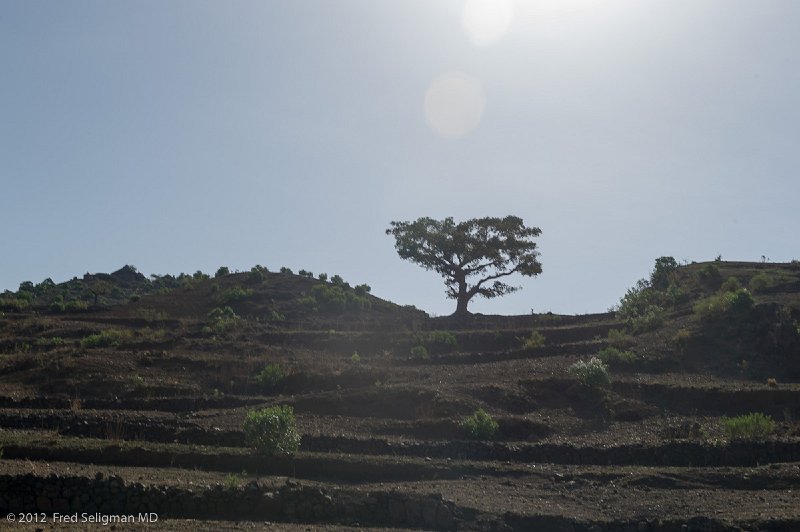 20120403_084556 Nikon D3S 2x3.jpg - Landscape north of Lalibella